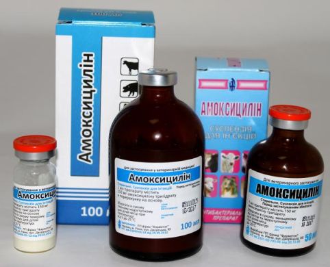Амоксицилин ин.100 мл Фарматон () в Антимикробные препараты (Антибиотики).