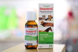 «Имаверол»: как применять для животных