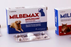 Мільбемакс для собак - і паразитів більше немає