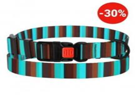 Ошейник BronzeDog Urban Полоска Нейлоновый с Пластиковой Пряжкой Коричнево-Голубой, Размер L, Обхват шеи 35-45 см, Ширина 2,5 см. (Bronzedog) в Амуниция для собак.