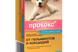 Прококс для собак - від глистів та найпростіших