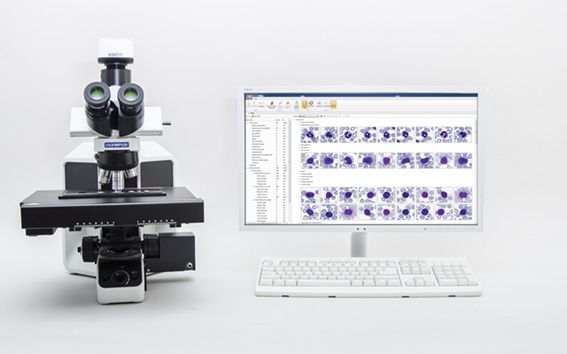 Автоматичний аналіз мазка крові тварин Vision Hema Vet () в Гематологічні аналізатори.
