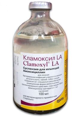 Кламоксил ЛА ( 100 мл ) () в Антимикробные препараты (Антибиотики).