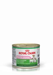 Starter Mousse Royal Canin мус для цуценят до 2-х місяців (Royal Canin) в Консерви для собак.