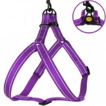 Шлея для Собак BronzeDog Active Нейлоновая со Светоотражением Фиолетовая, Размер M, Обхват груди 45-56 см, Ширина 2 см. (Bronzedog) в Амуниция для собак.