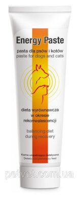 Энерджи паста для котов и собак 100г (Dolfos) в Витамины и пищевые добавки.