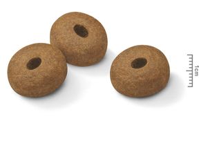 Maxi Light Weight Care Royal Canin (Роял Канин) 10 кг (Royal Canin) в Сухий корм для собак.