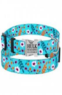 Ошейник BronzeDog Urban Цветы Нейлоновый с Металлической Пряжкой Ментол, Размер L, Обхват шеи 35-45 см, Ширина 2,5 см. (Bronzedog) в Амуниция для собак.