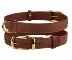 Нашийник шкіряний BronzeDog Crazy Коньячний, Розмір M Обхват шиї 30-39 см. Ширина 2 см. (Bronzedog) в амуніція для собак.
