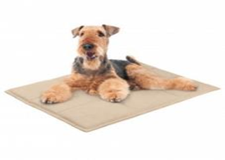 Підстилка BronzeDog Прямокутна Бежева, Розмір 3XL 80 * 105 * 5 см Підстилка BronzeDog Прямокутна Бежева, Розмір 3XL 80 * 105 * 5 см (Bronzedog) в Будиночки, Будки, Лежаки.