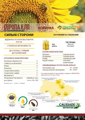 Европа КЛП (СAUSSADE) в Подсолнух.