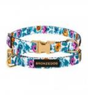 Ошейник Bronzedog Urban Folk Нейлоновый c Металлической пряжкой Золотистого Цвета Белый, Размер ХS, Обхват шеи 18-30 см, Ширина 1 см. (Bronzedog) в Амуниция для собак.