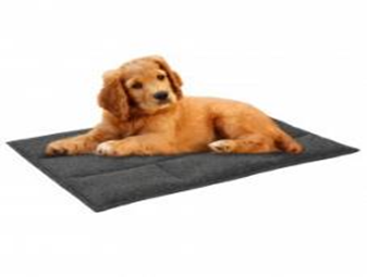 Підстилка BronzeDog Прямокутна Сіра, Розмір ХS 30 * 40 * 3 см Підстилка BronzeDog Прямокутна Сіра, Розмір ХS 30 * 40 * 3 см (Bronzedog) в Будиночки, Будки, Лежаки.