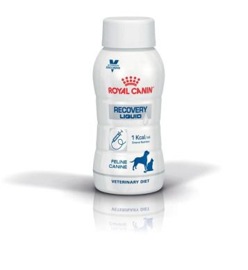 Recovery Liquid Dog & Cat Royal Canin Лечебный влажный корм для кошек 600мл (Royal Canin) в Консервы для кошек.
