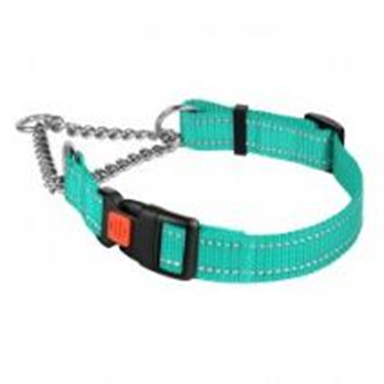 Ошейник Мартингейл BronzeDog Active Нейлоновый с Пластиковой Пряжкой и Светоотражением Бирюзовый, Размер L, Обхват шеи 41-55 см, Ширина 2,5 см. (Bronzedog) в Амуниция для собак.