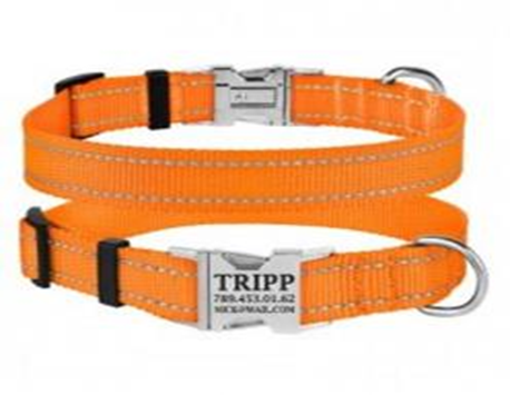 Ошейник BronzeDog Active Нейлоновый со Светоотражением и Металлической Пряжкой Оранжевый, Размер M, Обхват шеи 30-40 см., Ширина 2 см. (Bronzedog) в Амуниция для собак.