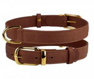 Нашийник шкіряний BronzeDog Crazy Коньячний, Розмір XL Обхват шиї 46-60 см. Ширина 2,5 см. (Bronzedog) в амуніція для собак.