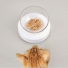 Підставка Infinite Future миска одинарна 450 мл 16,5 * 9,5 см 095-01 () в Посуд для собак.