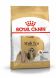 Shih Tzu Adult Royal Canin (Роял Канин) Ши-тцу старше 10 месяцев 0,5 кг (Royal Canin) в Сухой корм для собак.