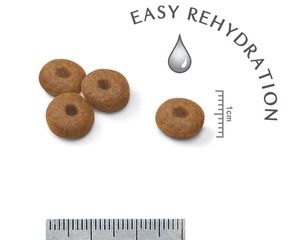 Maxi Starter Royal Canin (Роял Канин) 1 кг (Royal Canin) в Сухий корм для собак.