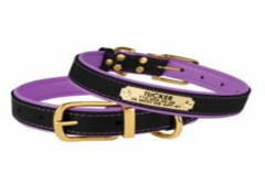Нашийник Шкіряний BronzeDog Premium з Литою латунною фурнітурою та Адресником Чорно-Фіолетовий, Розмір M Обхват шиї 35-41 см. Ширина 2 см. (Bronzedog) в амуніція для собак.