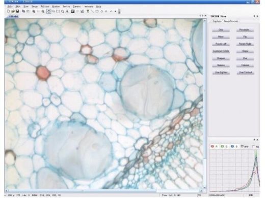 Відеокамера цифрова 3,0 Mpix для мікроскопа (Мікромед) в Мікроскопи.