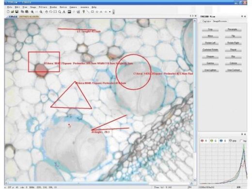 Відеокамера цифрова 3,0 Mpix для мікроскопа (Мікромед) в Мікроскопи.