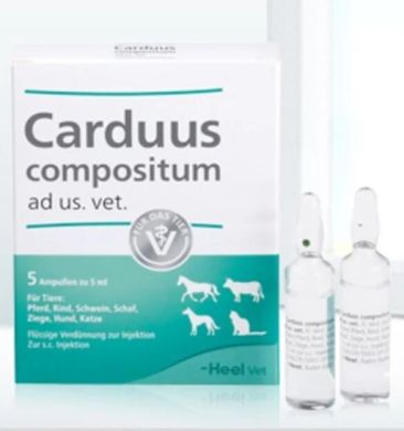 Кардуус композитум 5 мл 5 ампул () в Настоянки, відвари, екстракти, гомеопатія  .
