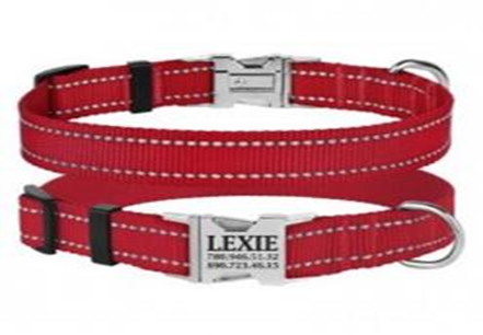 Ошейник BronzeDog Active Нейлоновый со Светоотражением и Металлической Пряжкой Красный, Размер L, Обхват шеи 35-45 см., Ширина 2,5 см. (Bronzedog) в Амуниция для собак.