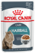 Hairball Care Royal Canin (Роял Канін) (знижує утворення волосяних грудочок) (Royal Canin) в Консерви для кішок.
