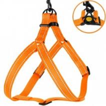 Шлея для Собак BronzeDog Active Нейлоновая со Светоотражением Оранжевая, Размер M, Обхват груди 45-56 см, Ширина 2 см. (Bronzedog) в Амуниция для собак.