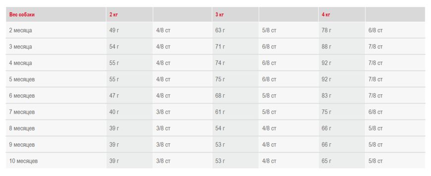 YORKSHIRE TERRIER Junior Royal Canin (Роял Канин) Йоркширский терьер до 10 месяцев 0,5 кг (Royal Canin) в Сухой корм для собак.