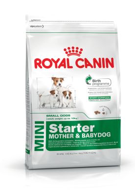 Royal Canin (Роял Канин) Mini Starter (щенки до 2 месяцев, беременные и кормящие суки) 1 кг (Royal Canin) в Сухой корм для собак.