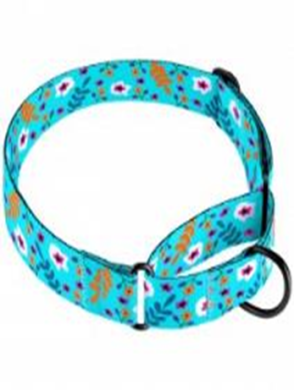 Ошейник Мартингейл BronzeDog Urban Цветы Нейлоновый c Металлической Фурнитурой Ментол, Размер M, Обхват шеи 38-51 см, Ширина 3,8 см. (Bronzedog) в Амуниция для собак.