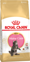 Maine Coon Kitten Royal Canin для кошенят породи Мейн Кун від 3 міс до 15 міс (Royal Canin) в Сухий корм для кішок.