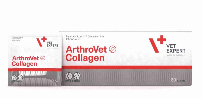 АртроВет Коллаген (60 пак.) - поддержка, защита суставов (коллаген) () в Витамины и пищевые добавки.