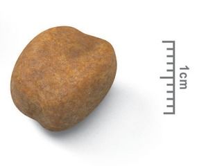 Royal Canin (Роял Канин) Giant Puppy 1 кг (Royal Canin) в Сухой корм для собак.