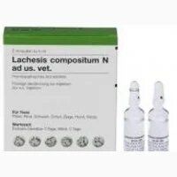 Лахезіс композитум, Хель 5мл 5 ампул () в Настоянки, відвари, екстракти, гомеопатія  .