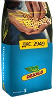 DКС 2949 (ДКС2949) (Monsanto) в Кукуруза.