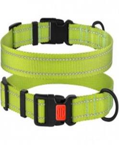 Ошейник BronzeDog Active Нейлоновый со Светоотражением и Пластиковой Пряжкой Салатовый,Размер S, Обхват шеи 25-33 см, Ширина 1,6 см. (Bronzedog) в Амуниция для собак.