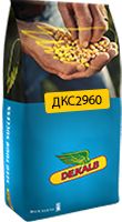 DКС 2960 (ДКС2960) (Monsanto) в Кукурудза.