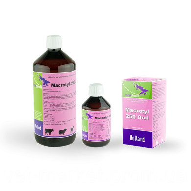 Макротил-250 Орал (Interchemie) в Антимикробные препараты (Антибиотики).