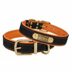 Нашийник Шкіряний BronzeDog Premium з Литою латунною фурнітурою та Адресником Чорно-Помаранчевий, Розмір L Обхват шиї 41-43 см. Ширина 2,5 см. (Bronzedog) в амуніція для собак.