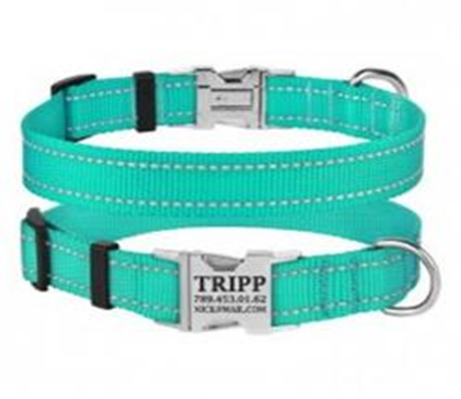 Ошейник BronzeDog Active Нейлоновый со Светоотражением и Металлической Пряжкой Бирюзовый, Размер XL, Обхват шеи 43-66 см., Ширина 2,5 см. (Bronzedog) в Амуниция для собак.