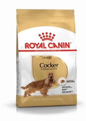 Cocker Adult Royal Canin  cухой корм для собак породы Кокер-Спаниель в возрасте от 12 месяцев (Royal Canin) в Сухой корм для собак.