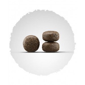 Йозера СенсиЮниор JOSERA SensiJunior Йозера СенсиЮниор JOSERA SensiJunior (JOSERA) в Сухой корм для собак.