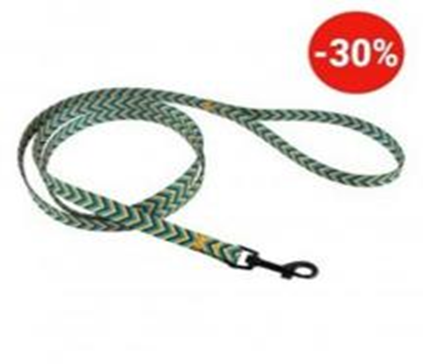 Поводок, Размер M, Длина 152 см, Ширина 2 см. Поводок, Размер M, Длина 152 см, Ширина 2 см. (Bronzedog) в Амуниция для собак.