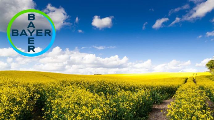 Джампер (Bayer) в Ріпак.