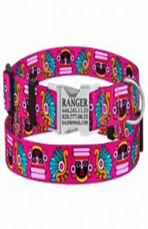 Ошейник BronzeDog Urban Маски Нейлоновый с Металлической Пряжкой Розовый, Размер M, Обхват шеи 30-40 см, Ширина 2 см. (Bronzedog) в Амуниция для собак.