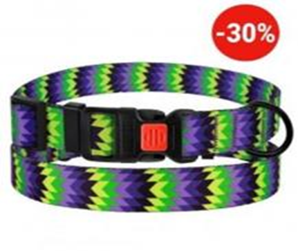 Ошейник BronzeDog Urban Зигзаг Нейлоновый с Пластиковой Пряжкой Фиолетово-Салатовый, Размер M, Обхват шеи 30-40 см, Ширина 2 см. Ошейник BronzeDog Urban Зигзаг Нейлоновый с Пластиковой Пряжкой Фиолетово-Салатовый, Размер M, Обхват шеи 30-40 см, Ширина 2 см. (Bronzedog) в Амуниция для собак.